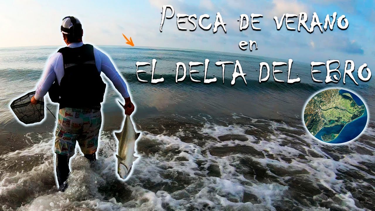 Pesca con paseantes ⭐️⭐️⭐️⭐️⭐️ Pesca en el Delta del EBRO [ WHIPLASH FACTORY TRAVIESO ]