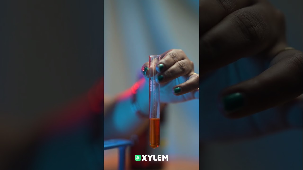 ഒരു Experiment കണ്ടാലോ ? | Xylem Class 5