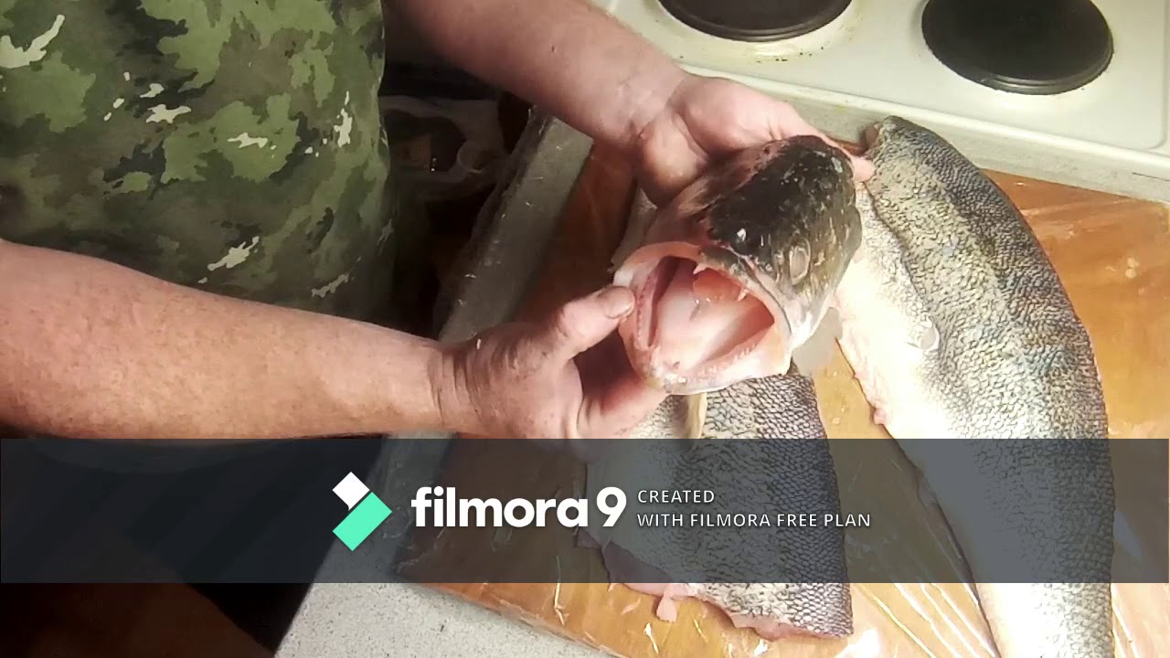 candát s pepřovou omáčkou a opečeným bramborem