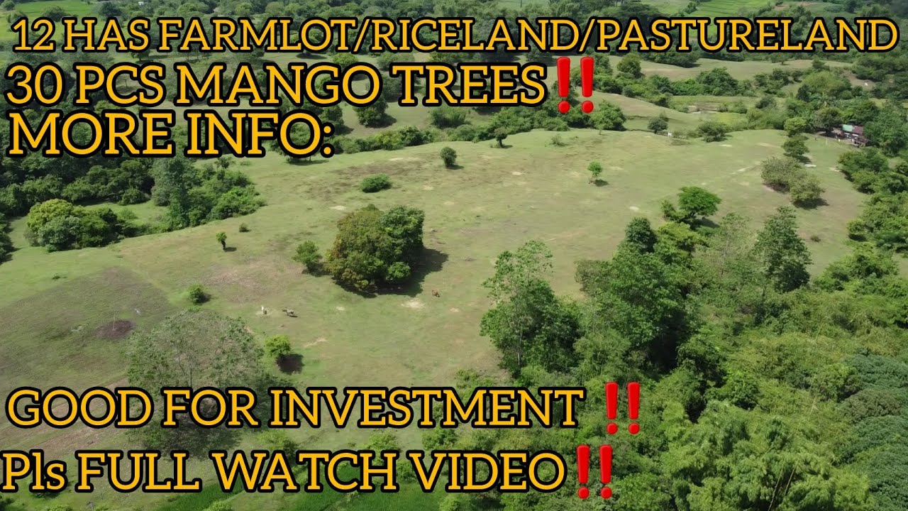 #vlog #140 FARMLOT/RICELAND/PASTURELAND..12O,000 SQM UMINGAN PANGASINAN #realestate #trending