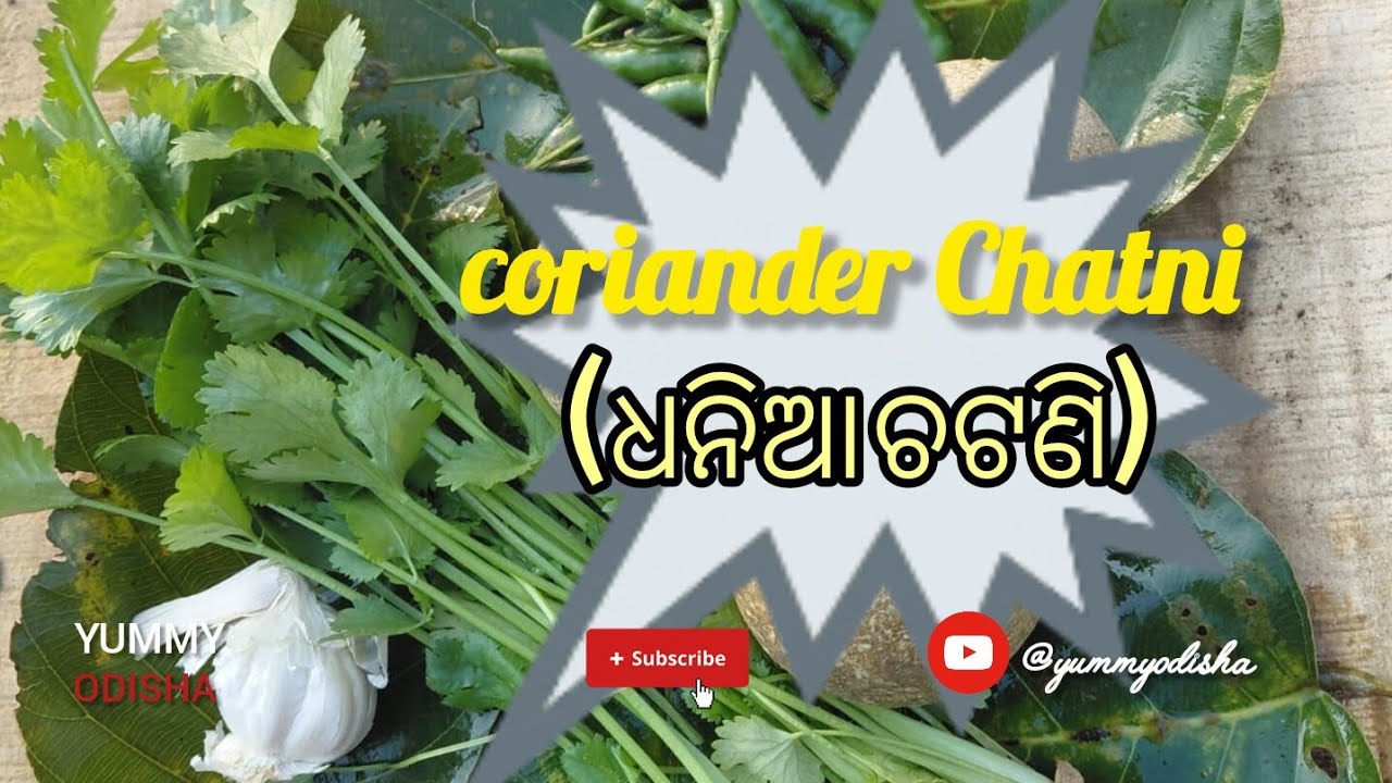 coriander chatni l | (ଧନିଆ ଚଟଣି)| How to make coriander chatni Recipe... #yummyodisha 