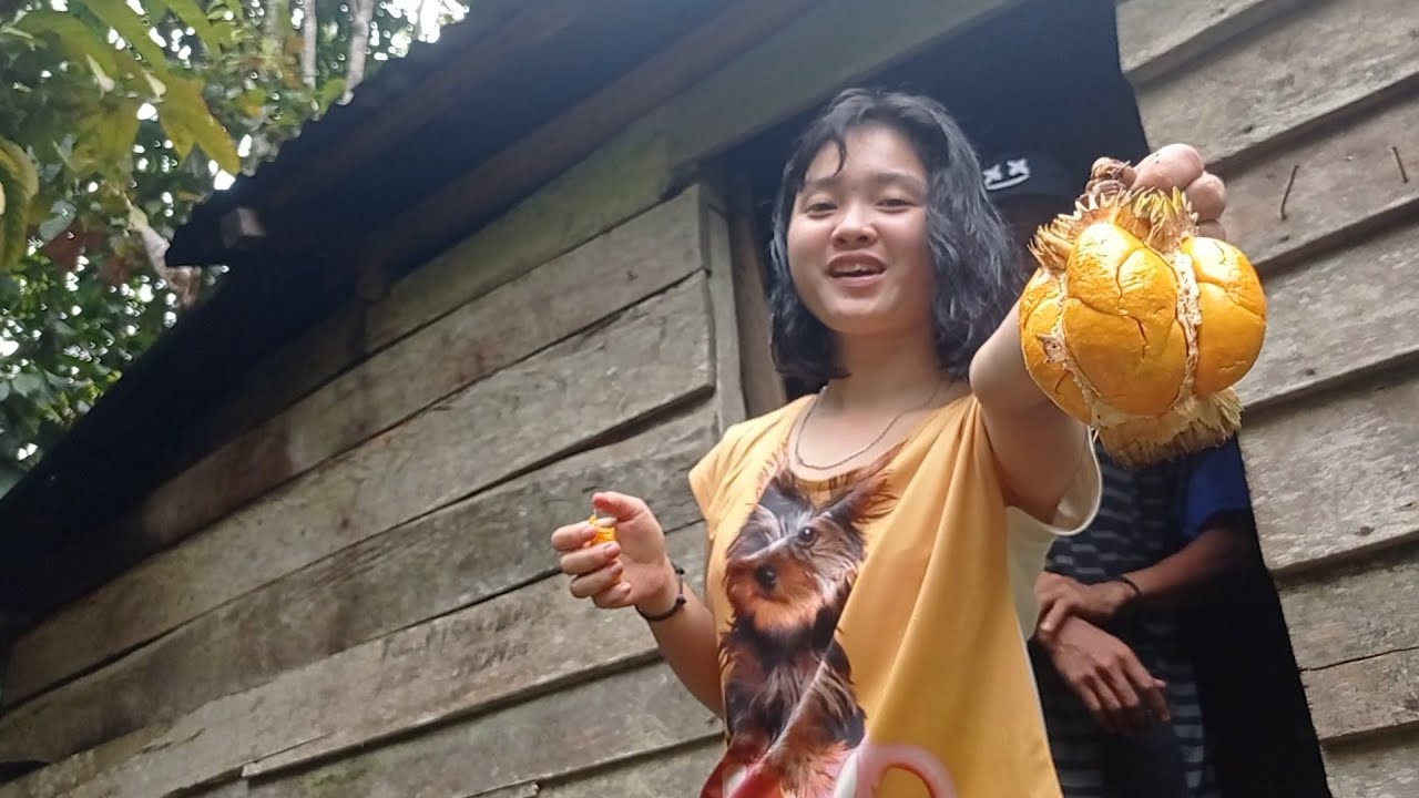 Mencari buah pekawai bersama gadis Dayak~part4