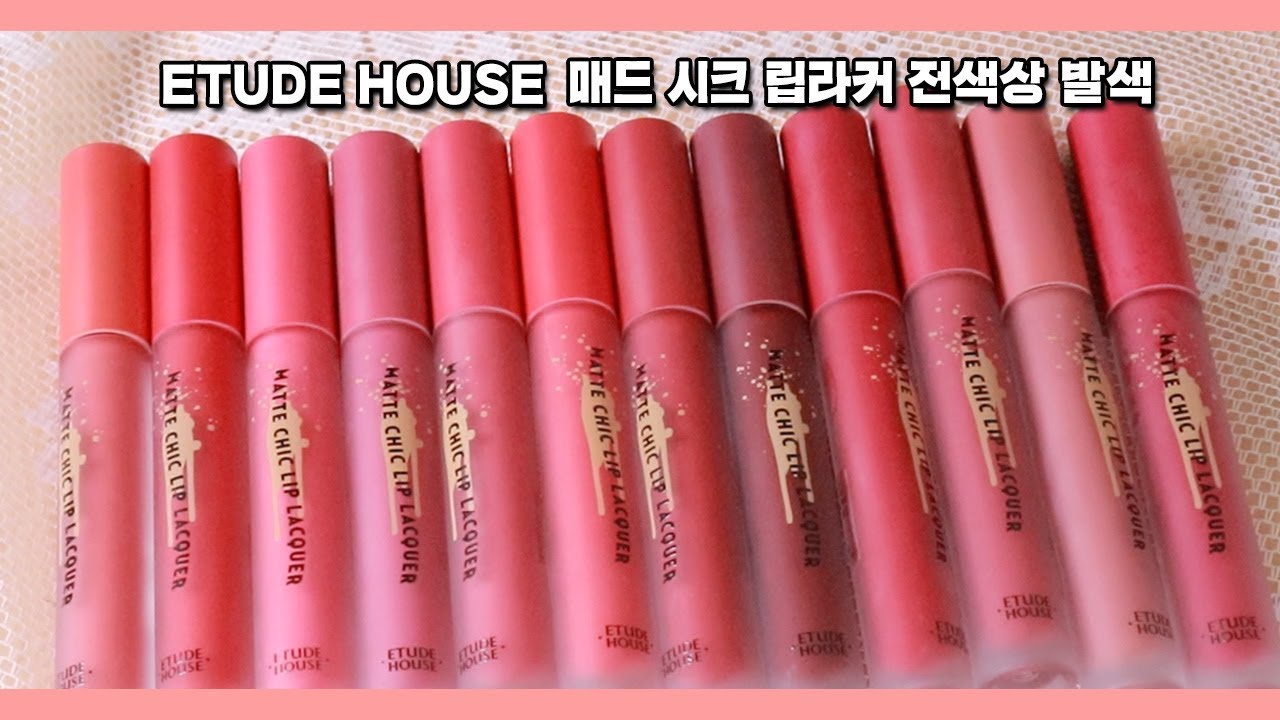 💄에뛰드하우스 초 신상! 매트 시크 립라커 전색상 발색리뷰 💄/ 뽐니