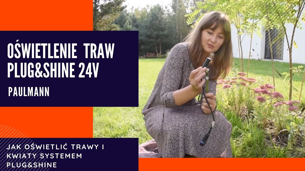 Jak oświetlić ogród z systemem Plug & Shine od Paulmann? Oświetlanie traw i krzewów