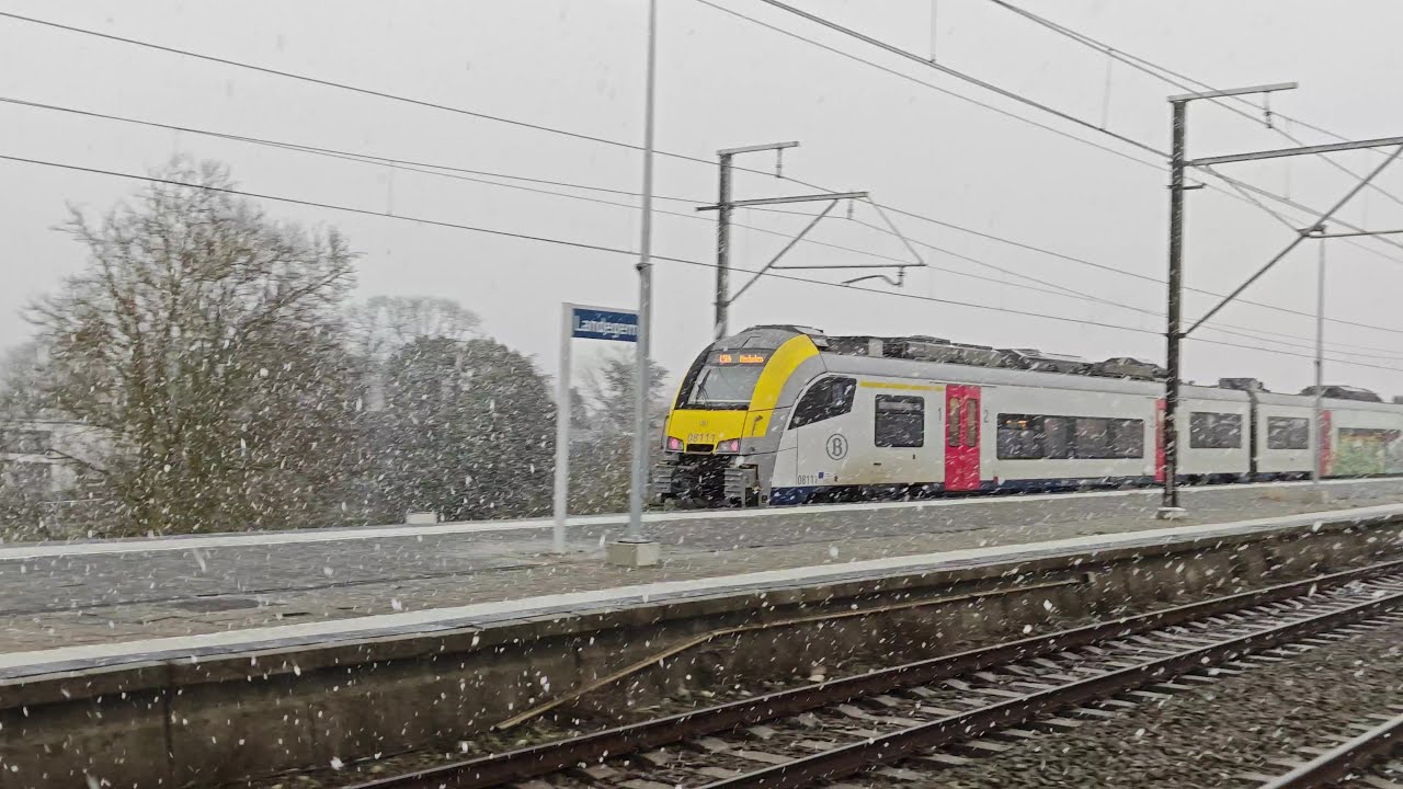 Landegem treinen in de sneeuw | januari 2026