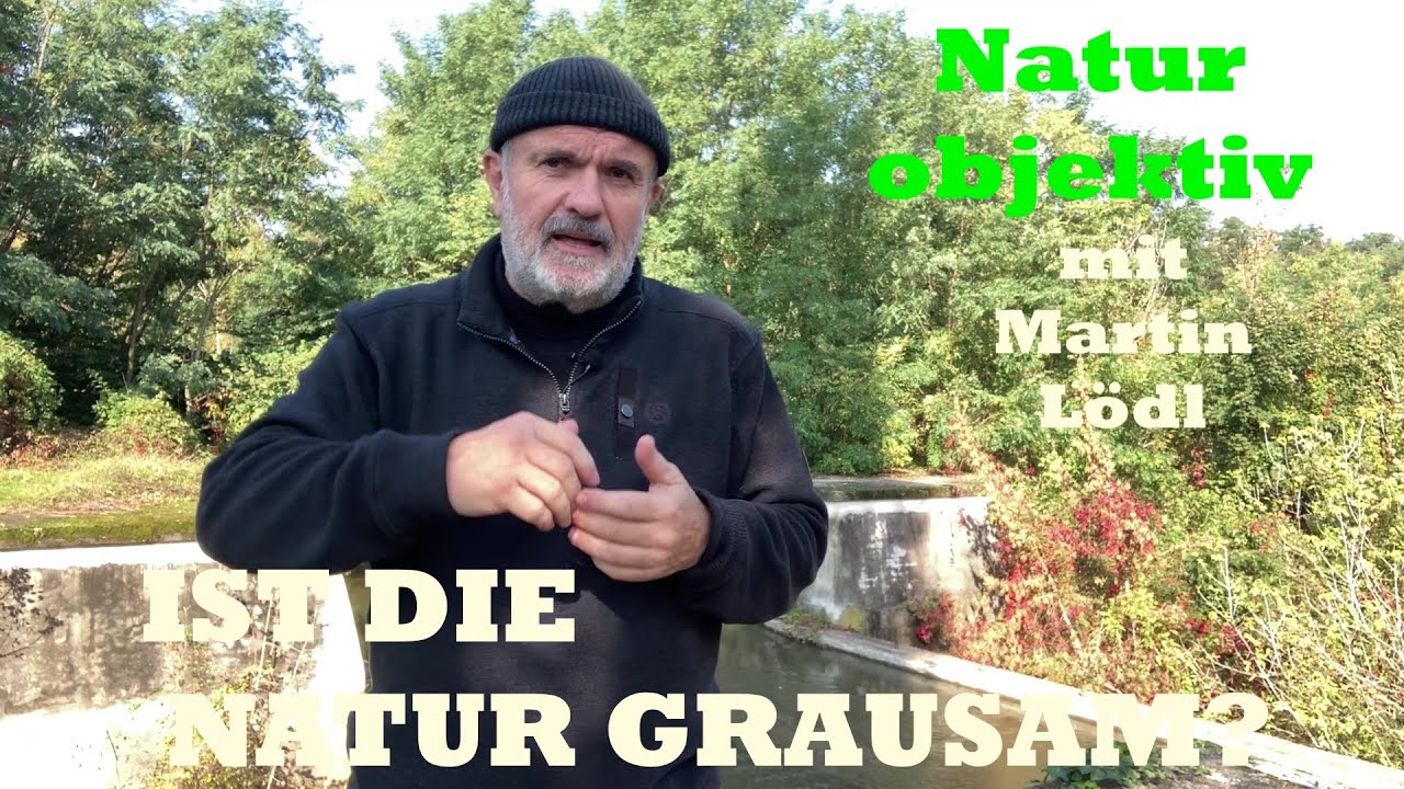 Ist die Natur grausam?