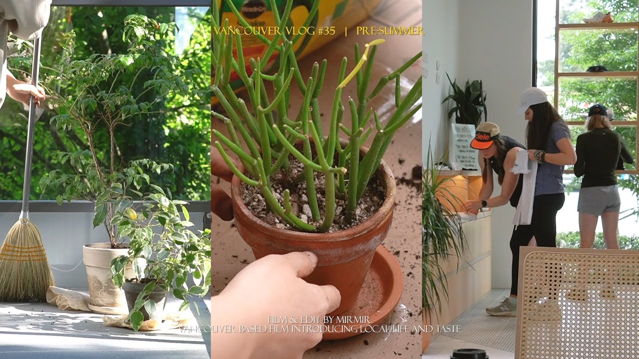 캐나다 밴쿠버 VLOG #35 : 여름준비, 분갈이, 포트무디 | Preparing Summer, potting, Portmoody | 미르미르mirmir