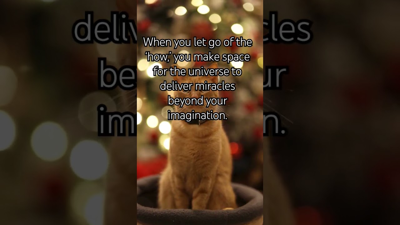 #new #2025 #december #spirituality #sleepwithnature #lawofattraction #christmas