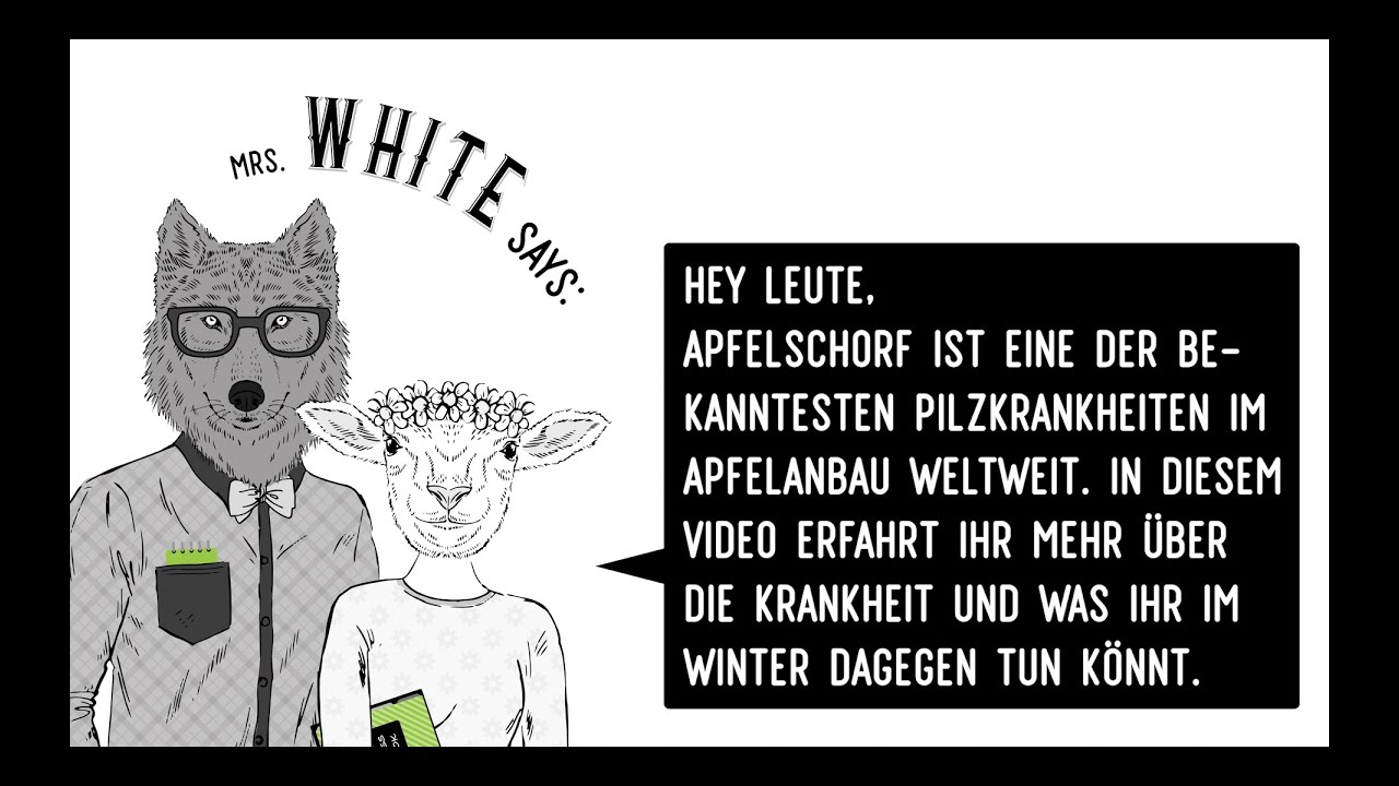 Falllaub Abbau und Apfelschorfvermeidung