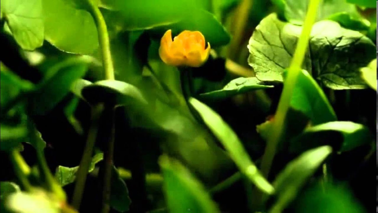 establecimientos p&uacute;blicos