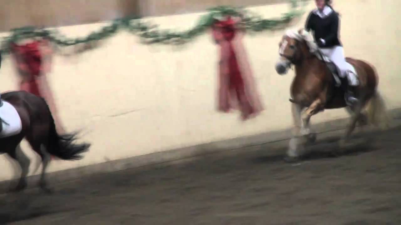 Juleshow Desember 2010