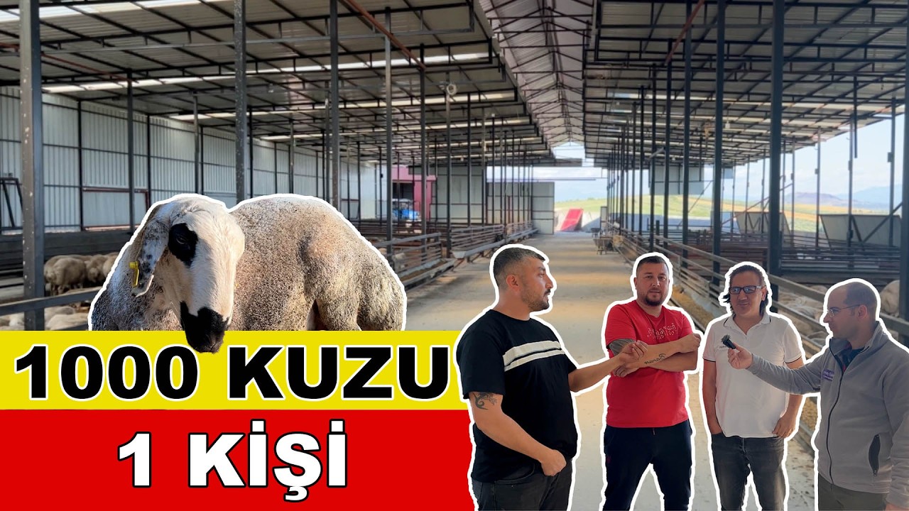 Adanada Kebaplık 85 Kg Kuzular
