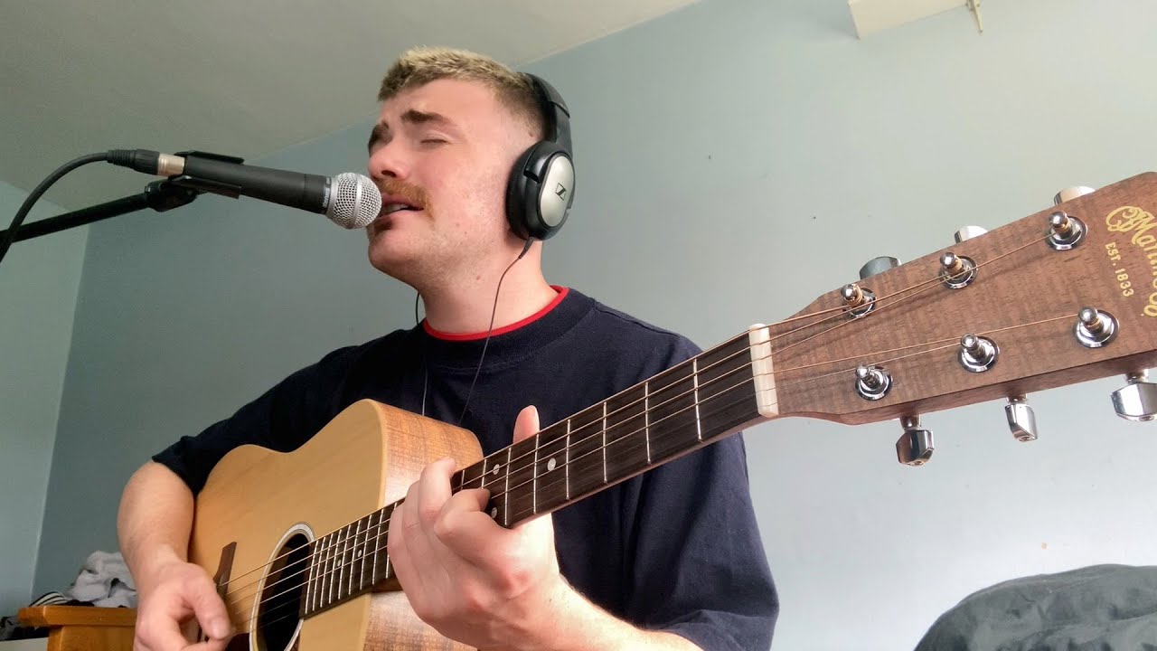 Bad Blood - Bear's Den (Cover)