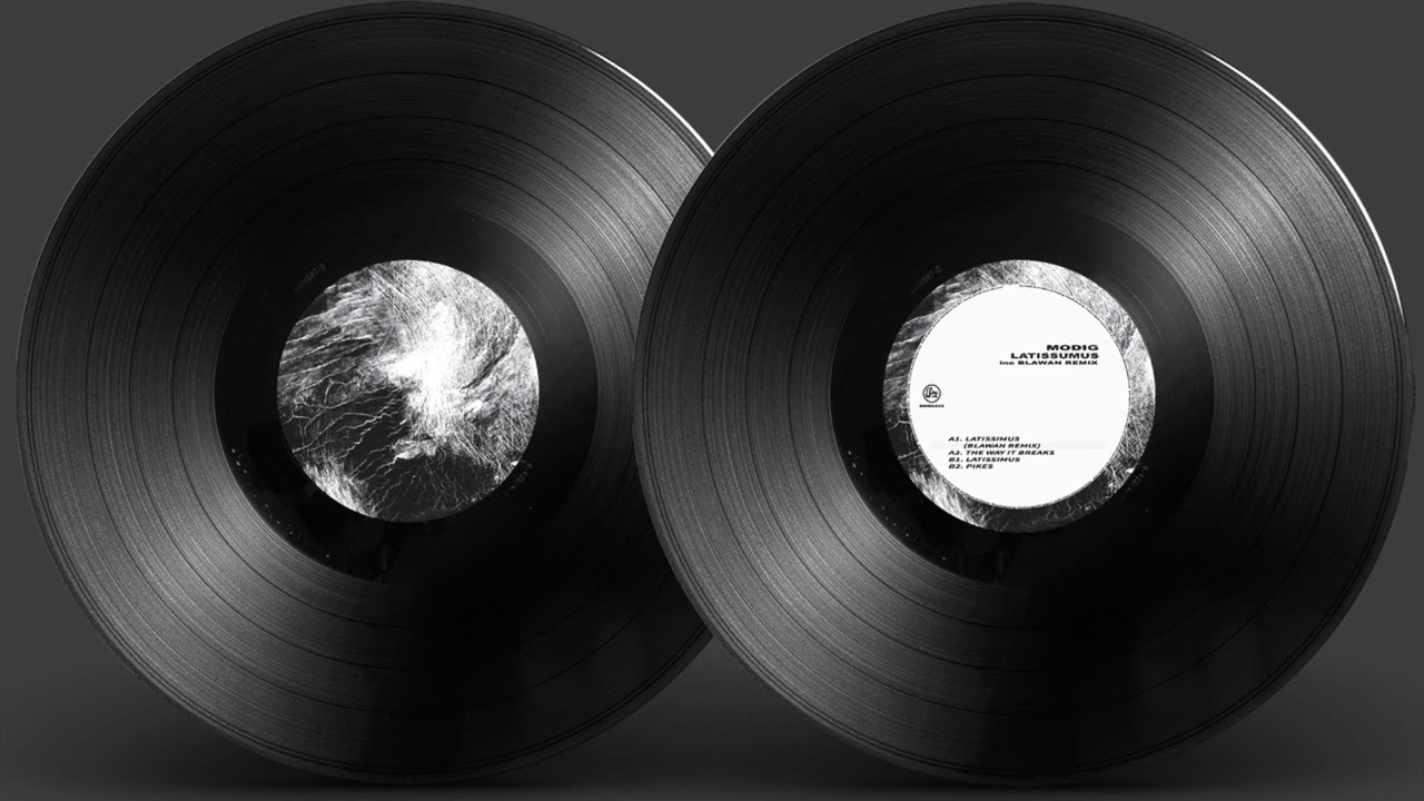 Modig - Latissimus (Blawan Remix)
