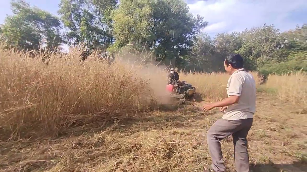 Bánh xich máy dầu ngồi lái nâng giàn cắt được 50cm