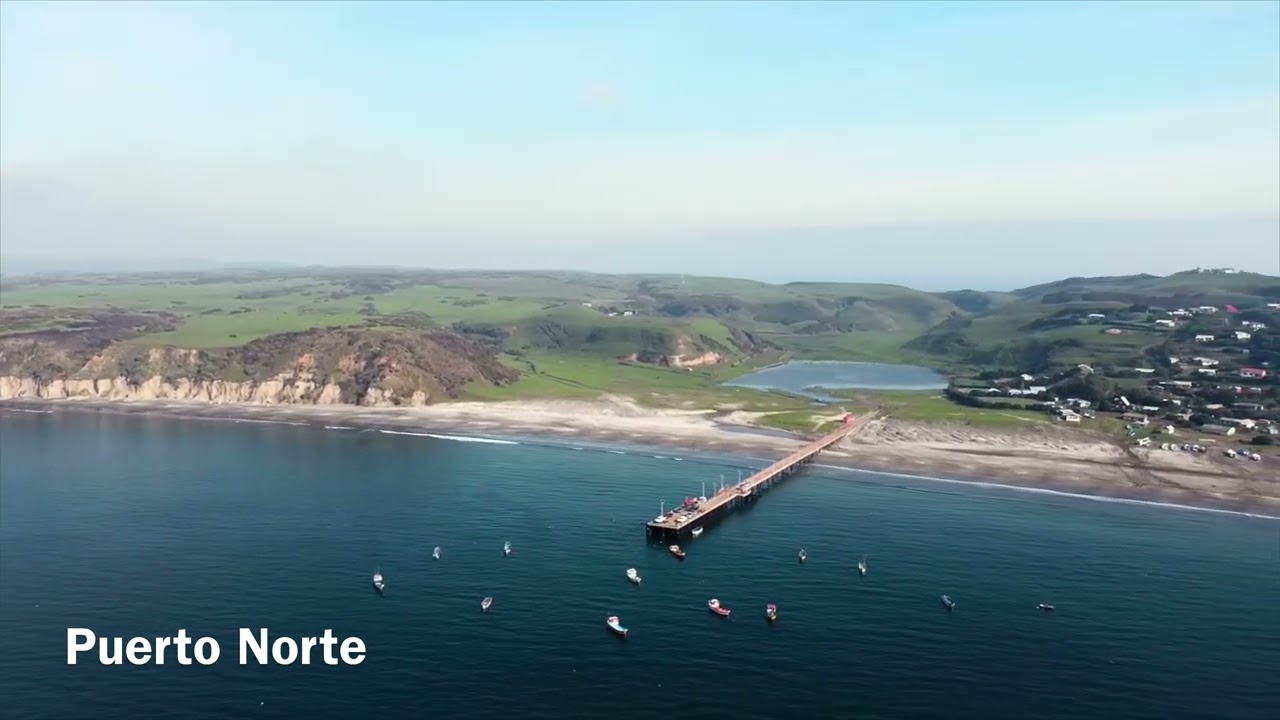 Isla Santa María, reforestación y regeneración, Sur Patrimonial