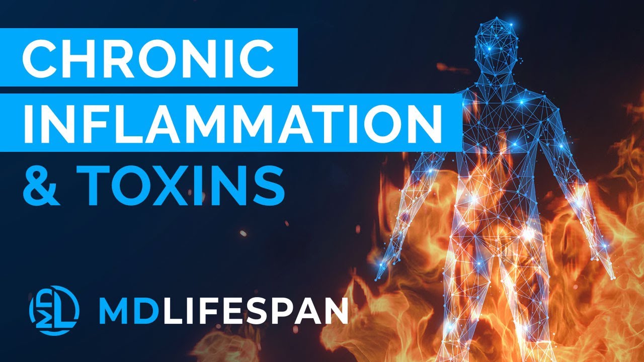 The Vicious Cycle of Toxins & Chronic Inflammation