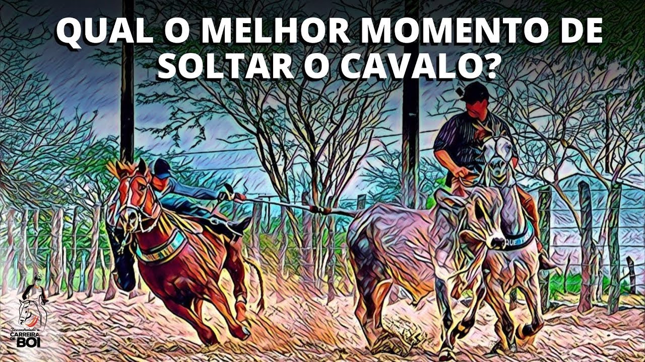 Qual a melhor hora de soltar o cavalo?