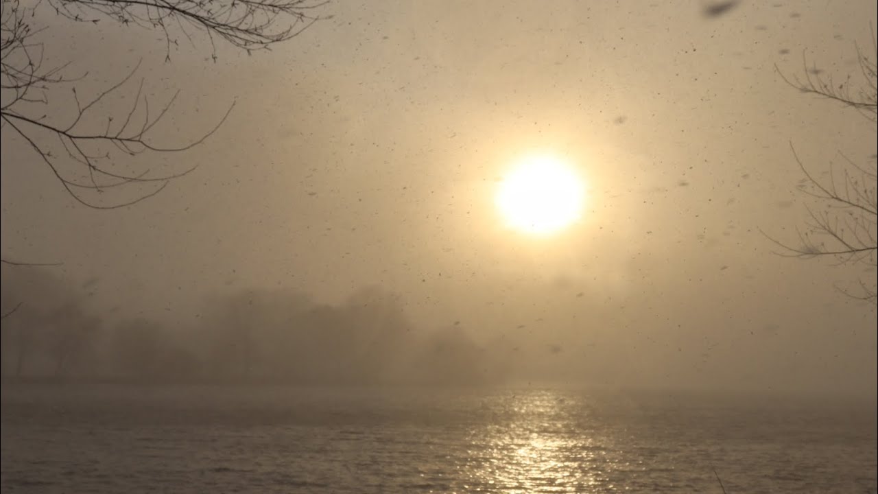 Snow Squall Hits Cherry Hill, NJ 3/28/22 | Heavy Snow