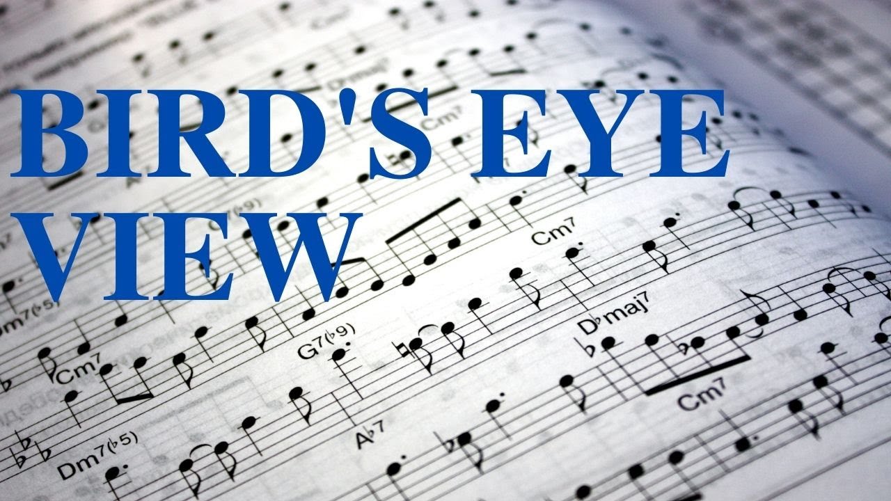 Bird's Eye View backing track (Greg Howe), 120BPM