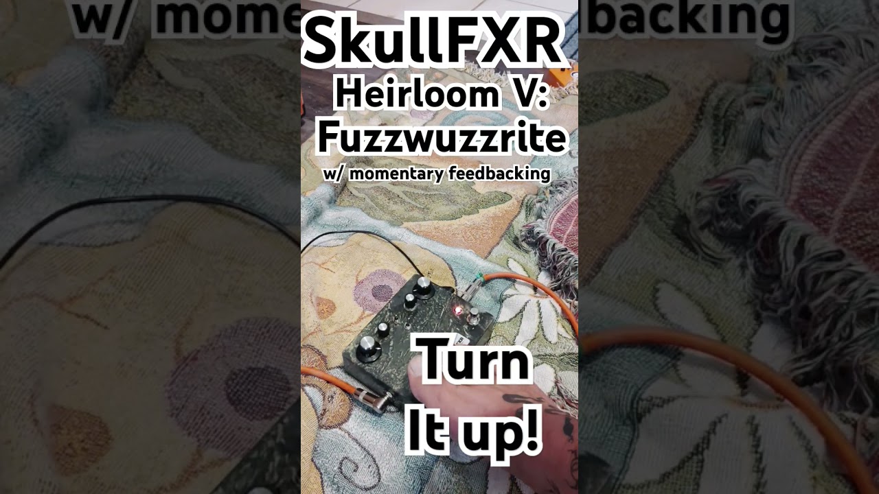 Fuzzwuzzrite is an expanded and tweaked Mosrite Fuzzrite with a feedback looper.