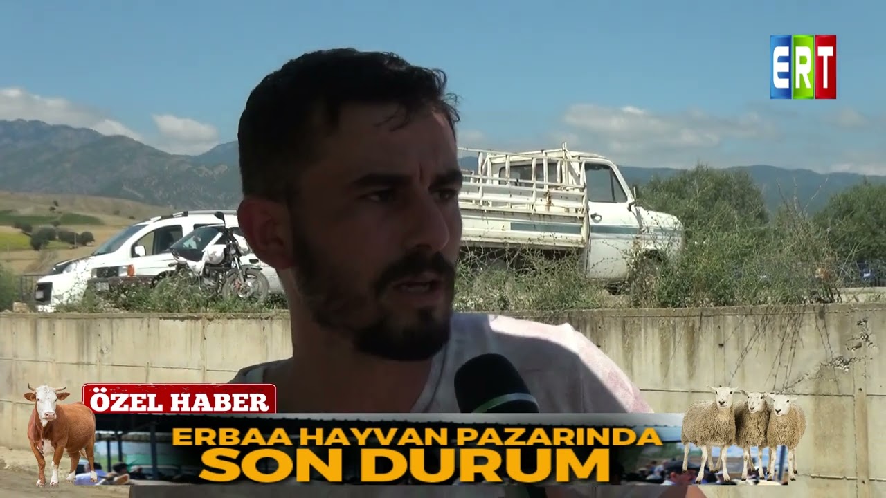Erbaa Hayvan Pazarı Son Durum Kurban Bayramı Öncesi Röportaj