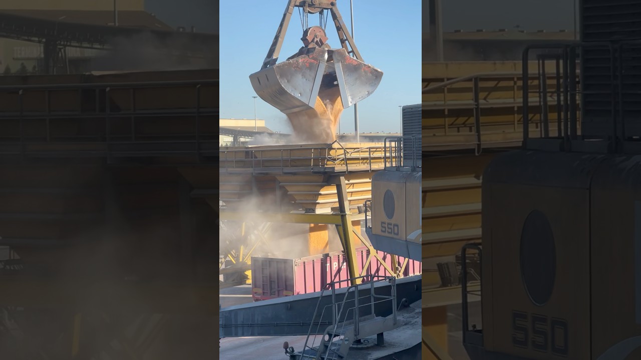 Cargo Ship loading/unloading cargo &ldquo;corn 🌽&rdquo; in port 🇺🇸 #shorts