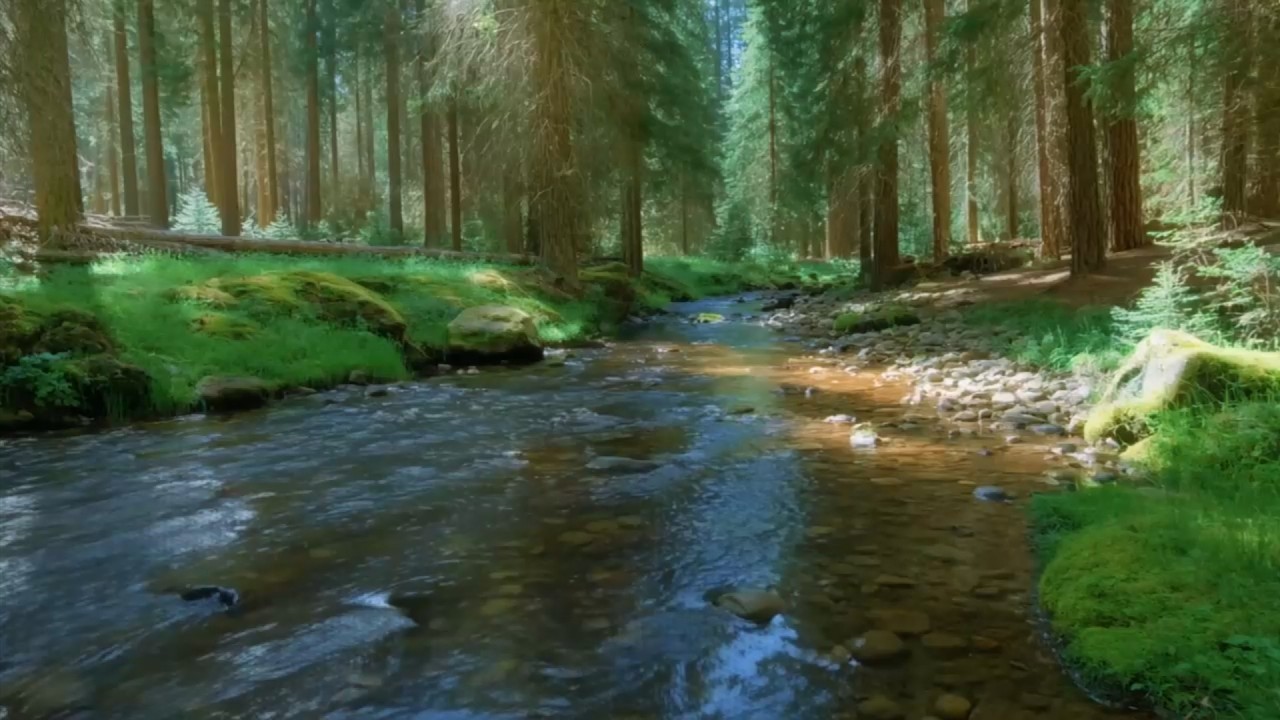 Relieve Stress to Deep Sleep with Calming Water Stream Sounds, Soothing River Passing Quiet Boulders