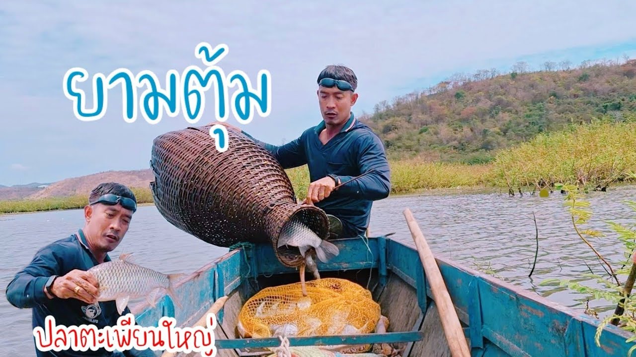 ยาม​ตุ้ม​ ได้ปลาตะเพียนใหญ่​EP.68