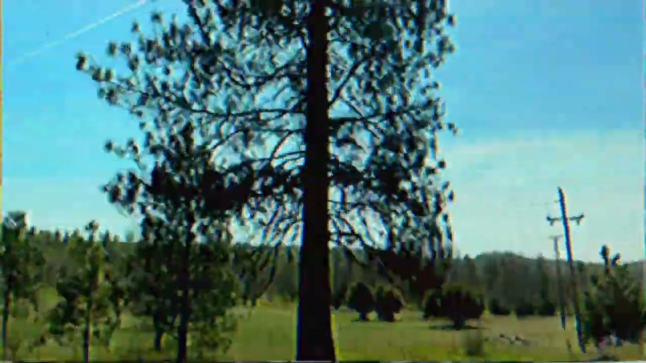 Vhs Footage Trees, Forrest, Mountains Retro Analog Tape Travel Wilderness Background Video Clip