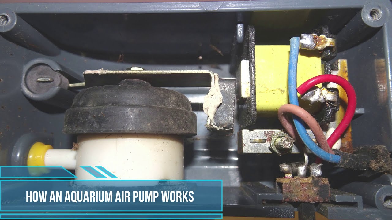 How an aquarium air pump works?