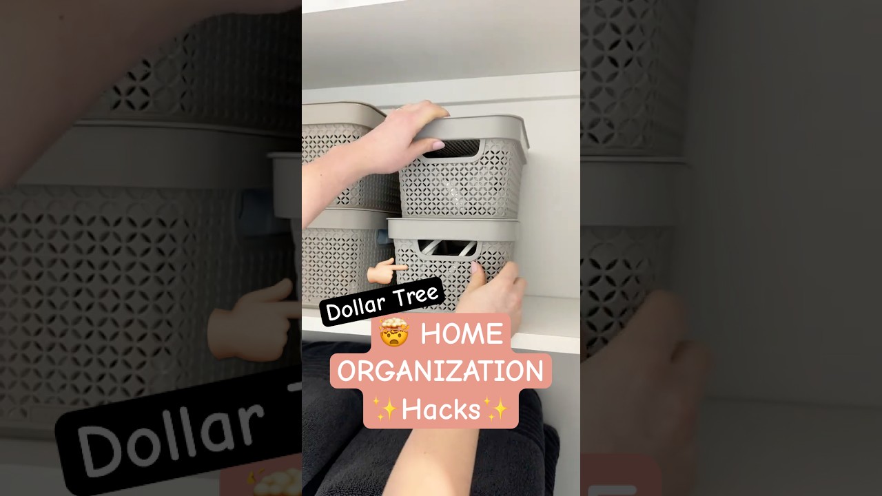 3 Dollar Tree 🤯 Organization ✨MUST HAVES✨#organization #home #dollartree