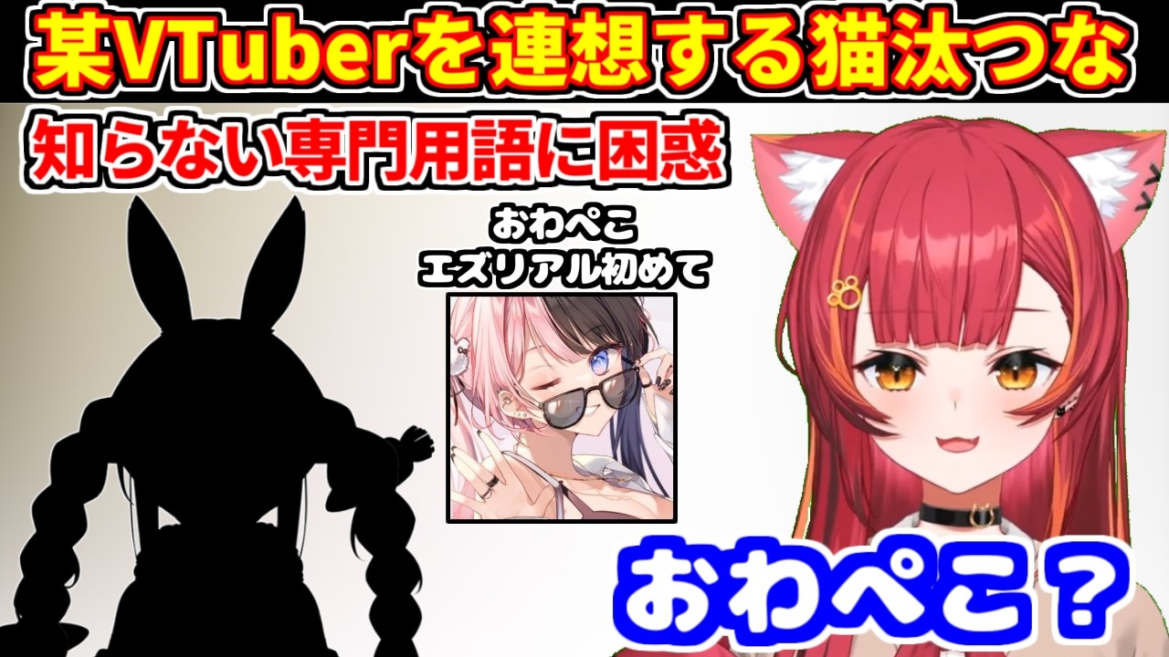 猫汰つなが「おわぺこ」という専門用語を聞いて某VTuberを連想【ぶいすぽっ！/猫汰つな】