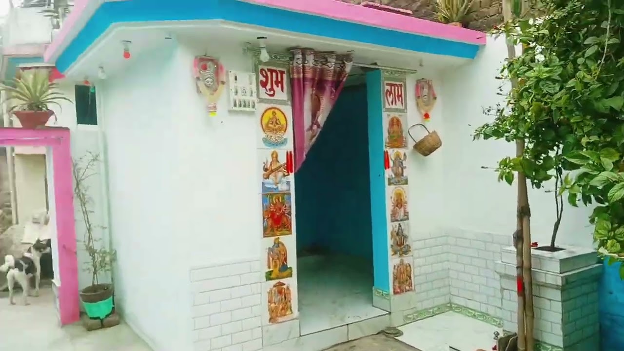 Kitni Hariyali hai Bhia🌿🌿🌿