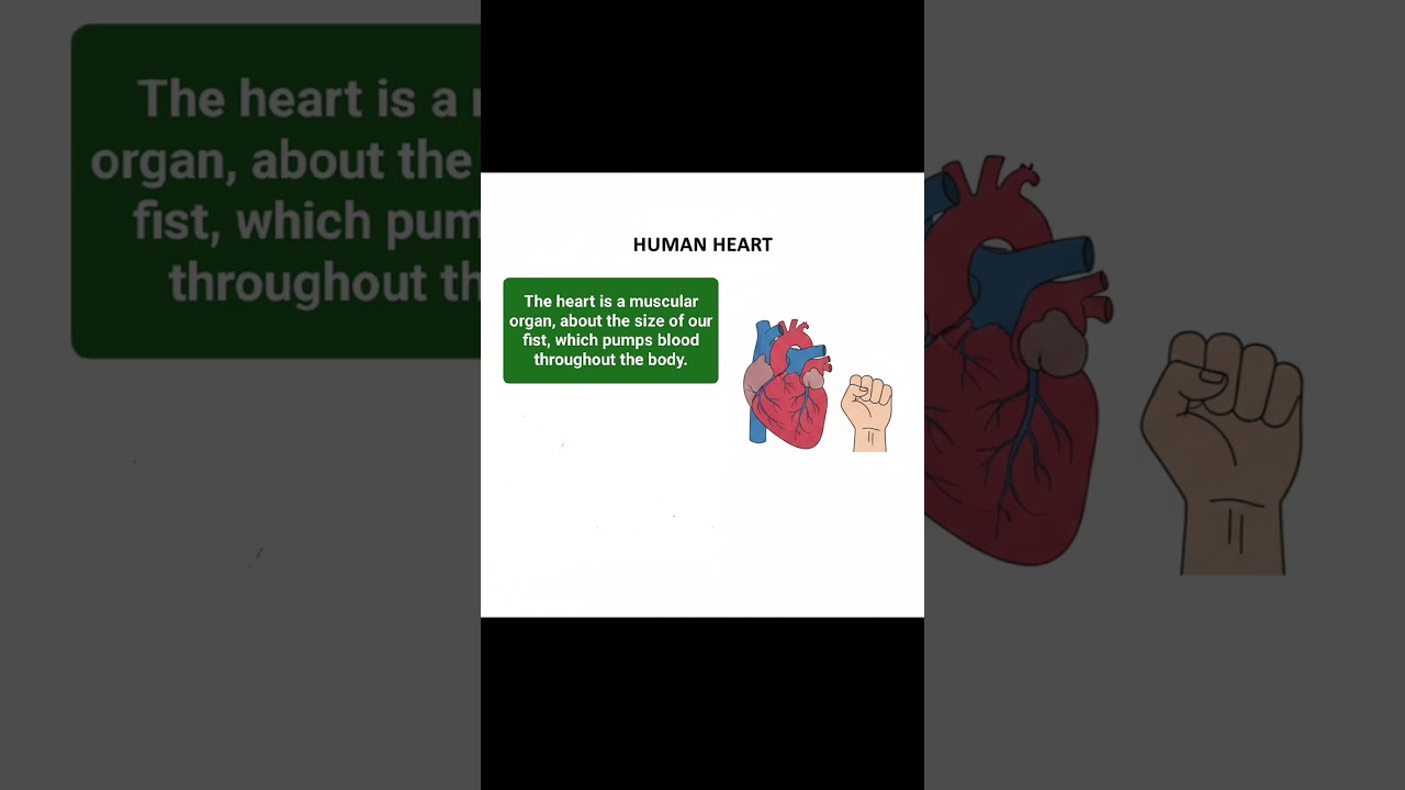 Human Heart Made Easy | Class 10 Science Biology (Part 1)