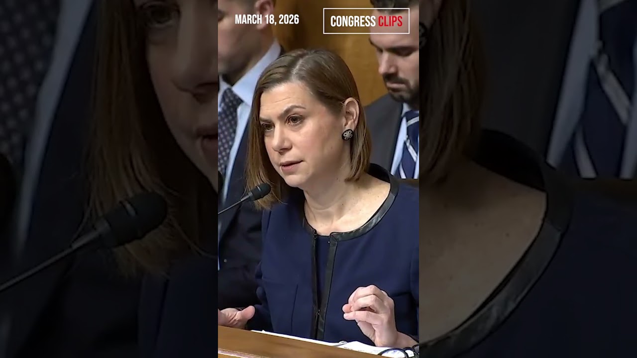 Сенатор Слоткин допрашивает Маллина по поводу выборов 2020 года и промежуточных выборов.