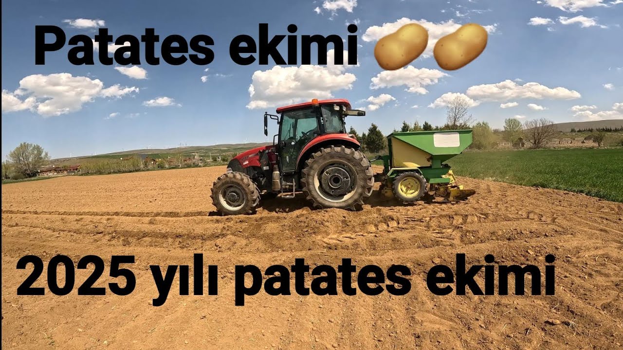 PATATES EKİYORUZ 2025 SEZONU PATATES EKİMİ