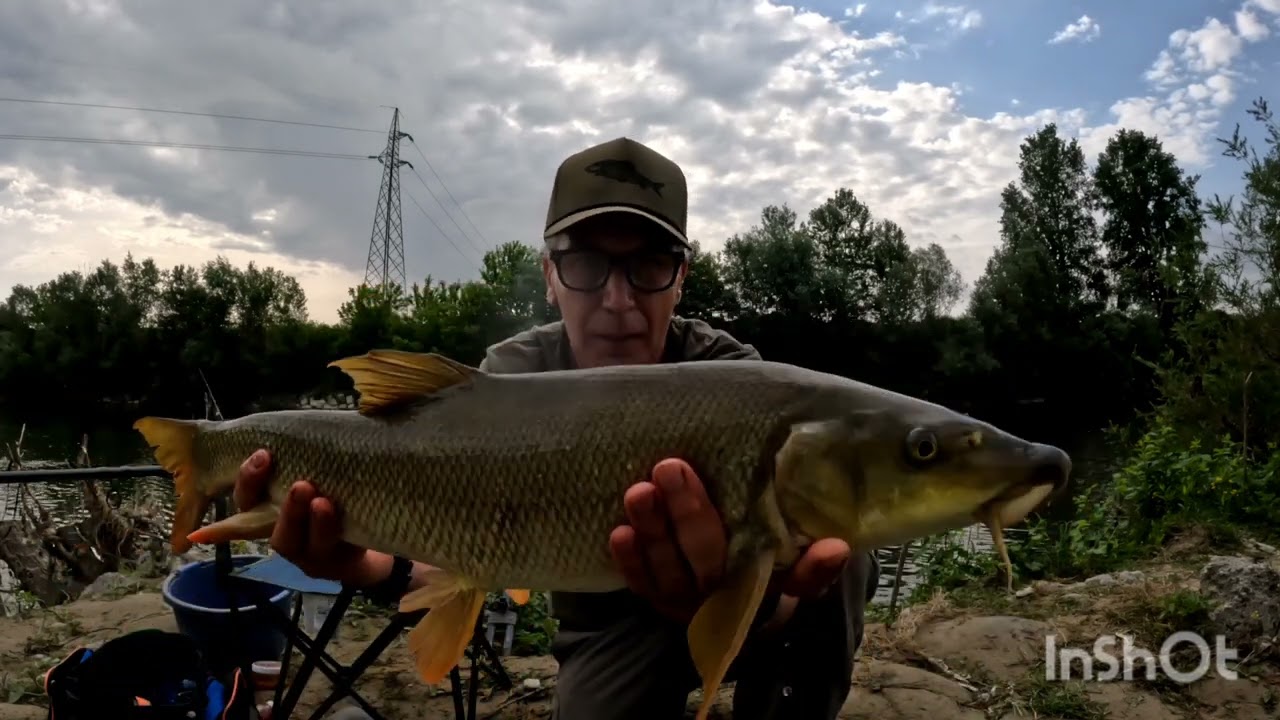 Un Feeder a tutto aglio e amicizia...... #pesca #feeder #fiume #fish #amicizia #pellet