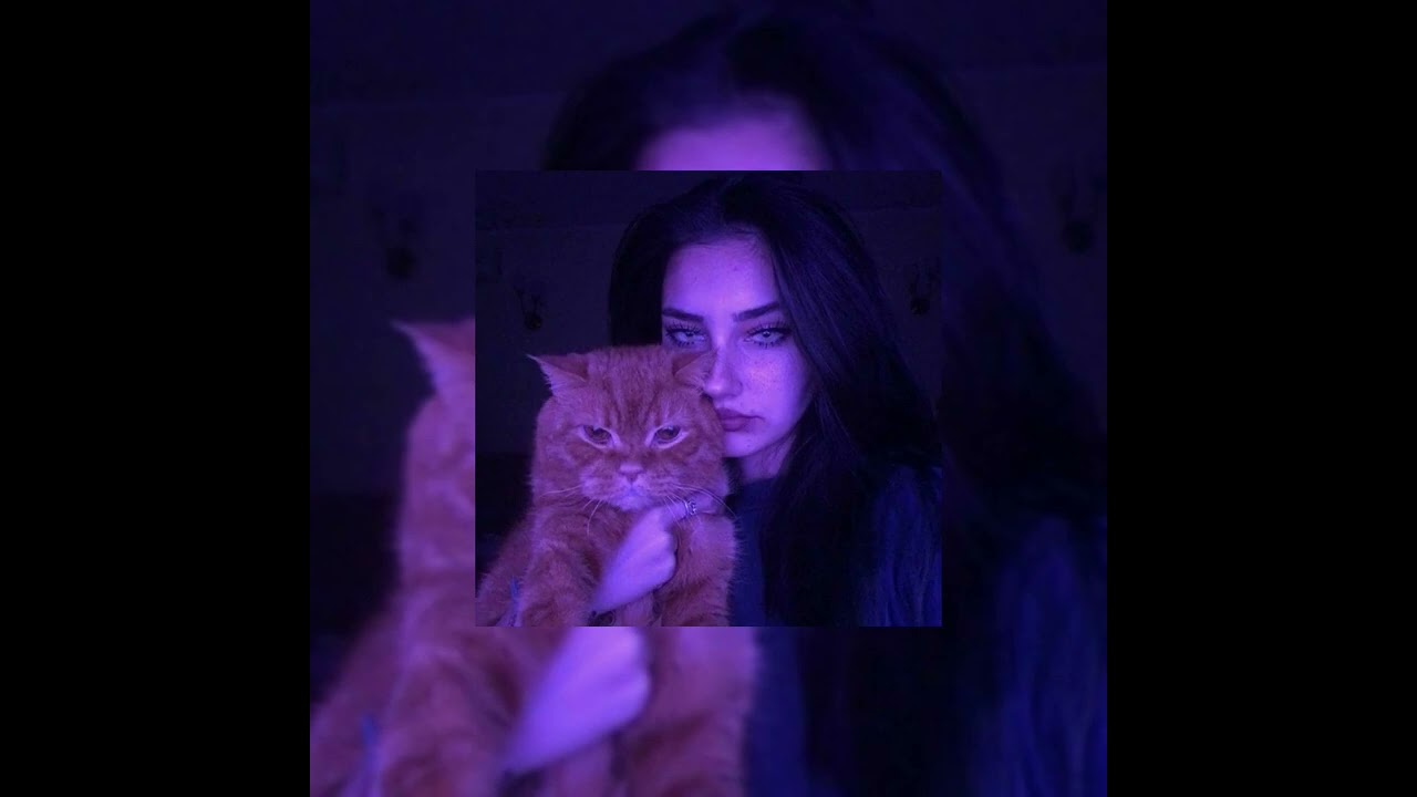 Who Is She x The Perfect Girl ( slowed + reverb)