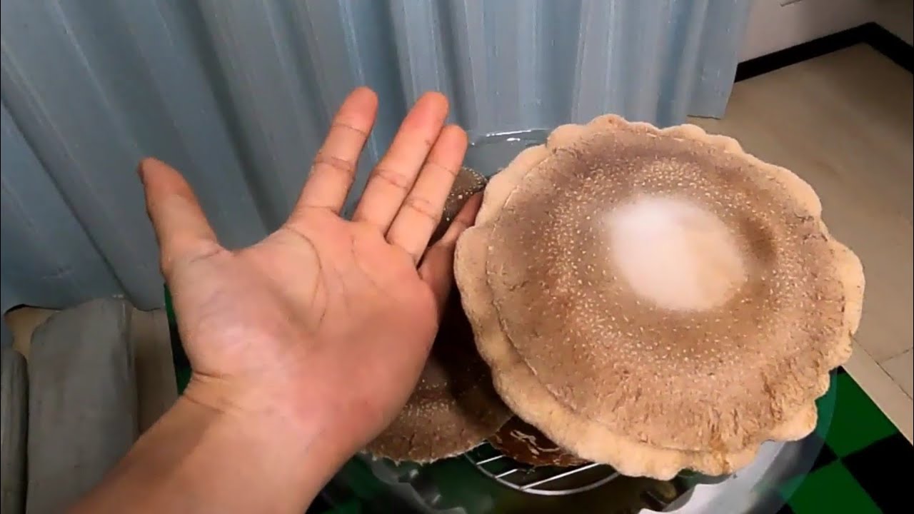【巨大椎茸】しいたけ農園／シイタケ栽培育て方プレビュー／インターバル撮影／森産業株式会社