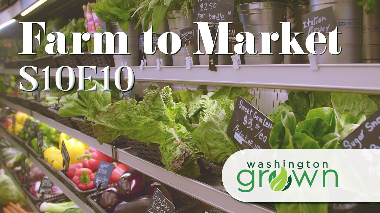 Farm to Market | Washington Grown | S10E10