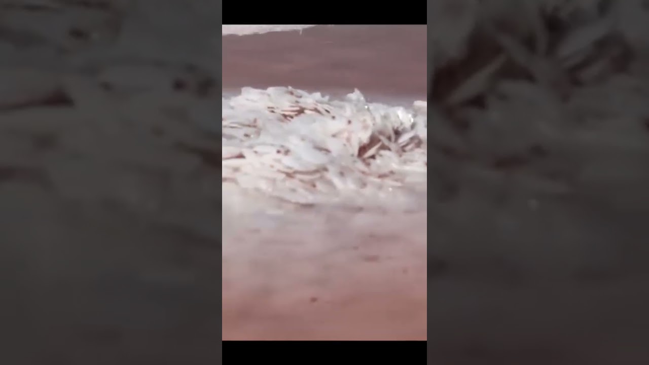 Красота и польза СОЛЕНОГО ЛИМАНА
