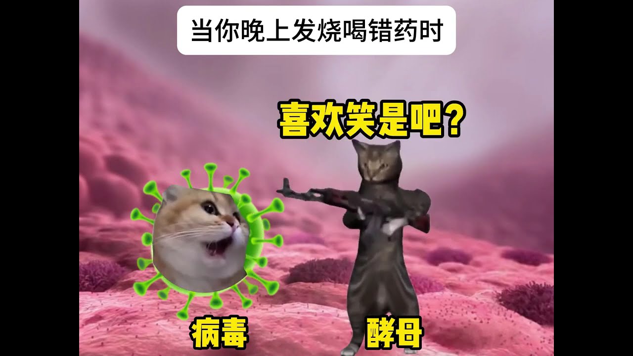 猫memeの欢乐时光-当你晚上发烧喝错药时 #猫meme  #猫meme小剧场 #猫meme剧场 #内容过于真实 #搞笑