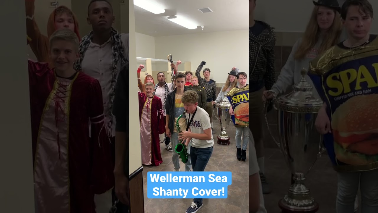 Wellerman Sea Shanty Bathroom Cover! #Shorts