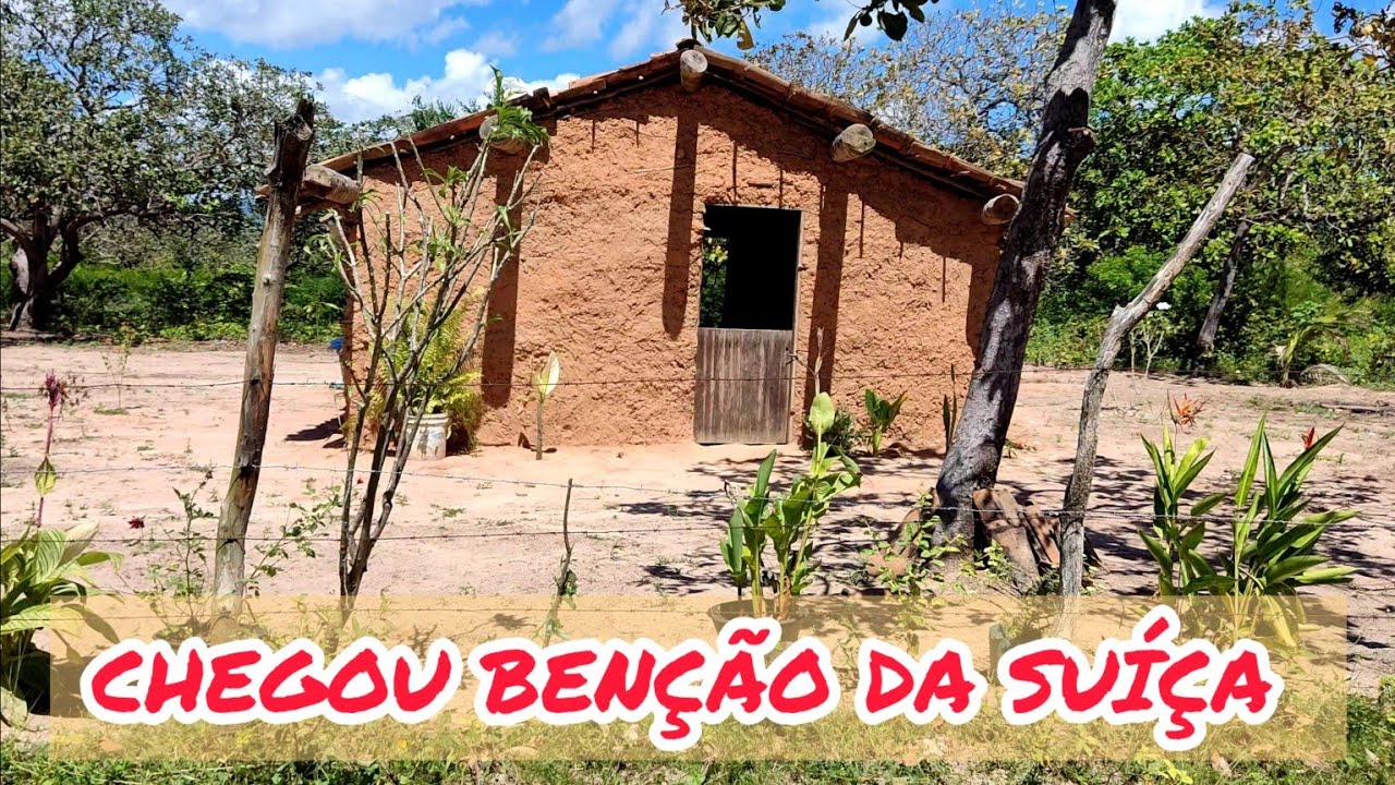VEJA A SURPRESA QUE LEVEI PARA ESSA HUMILDE FAMÍLIA NO INTERIOR DE ITAPIPOCA CEARÁ #2023