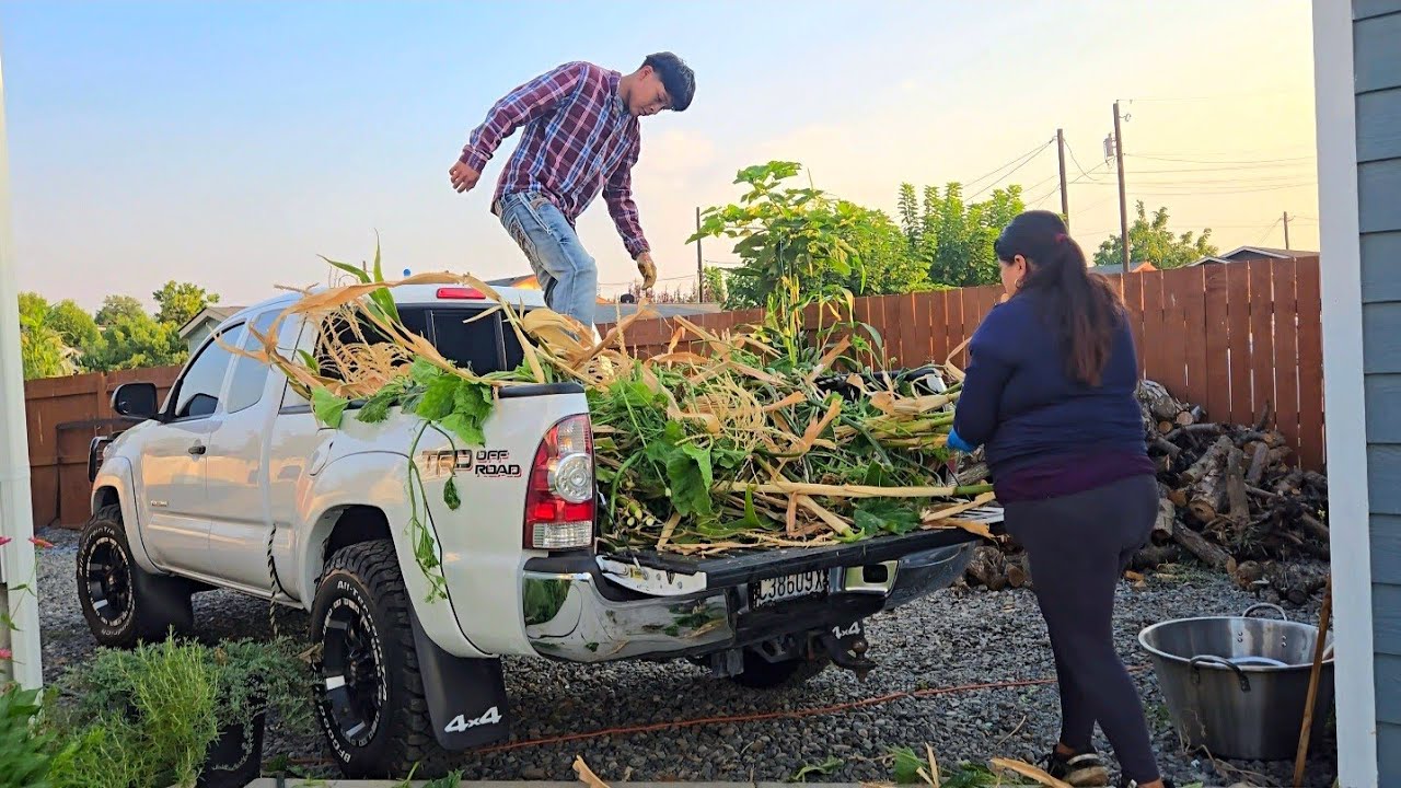 Es familia limpiando nuestro jardín un orgullo siempre trabajando unidos y saludos atodos 