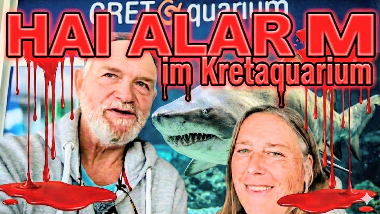 HAI-ALARM! 🦈 Nur 5cm Glas trennen uns von ihnen... Überwintern in Griechenland 