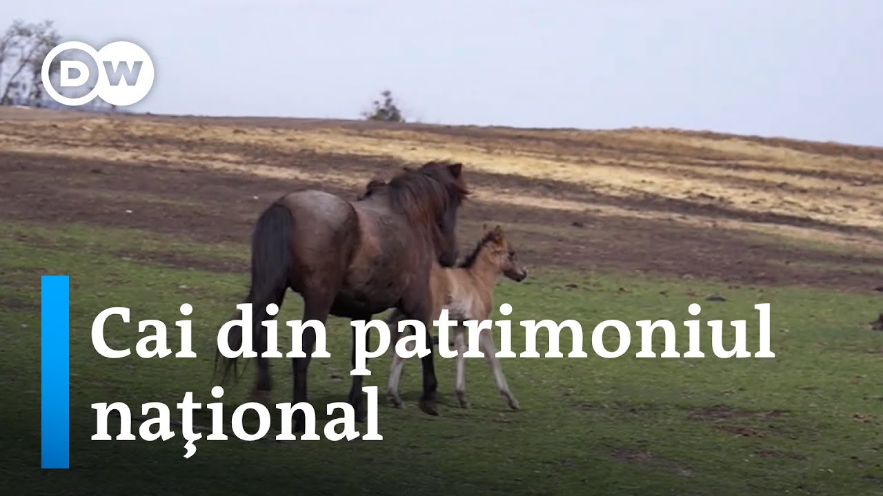 Cai din patrimoniul naţional