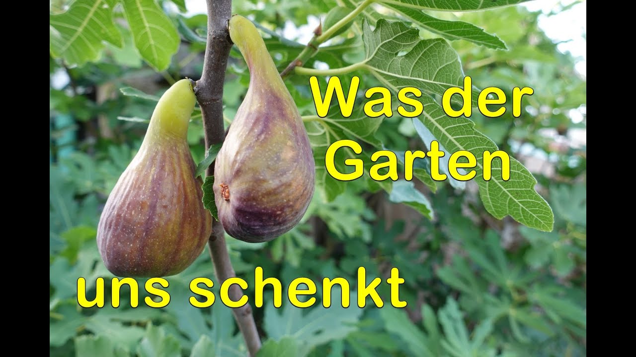 Allerlei Erfolge und 