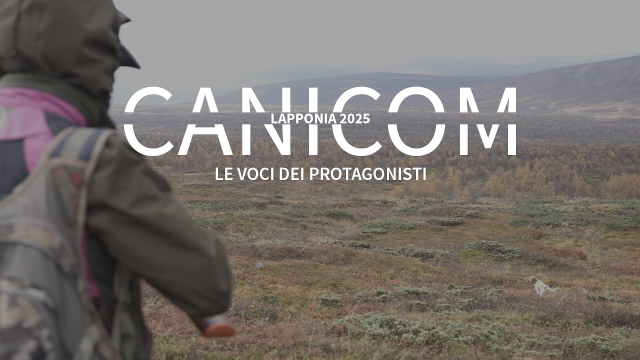 HUNTING WITH CANICOM | Lapponia 2025 | Le Voci Dei Protagonisti